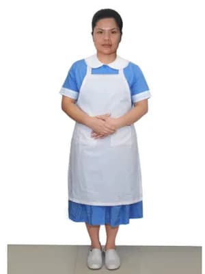 AYLIN 履歷照片