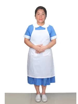 PANALIGAN, 履歷照片